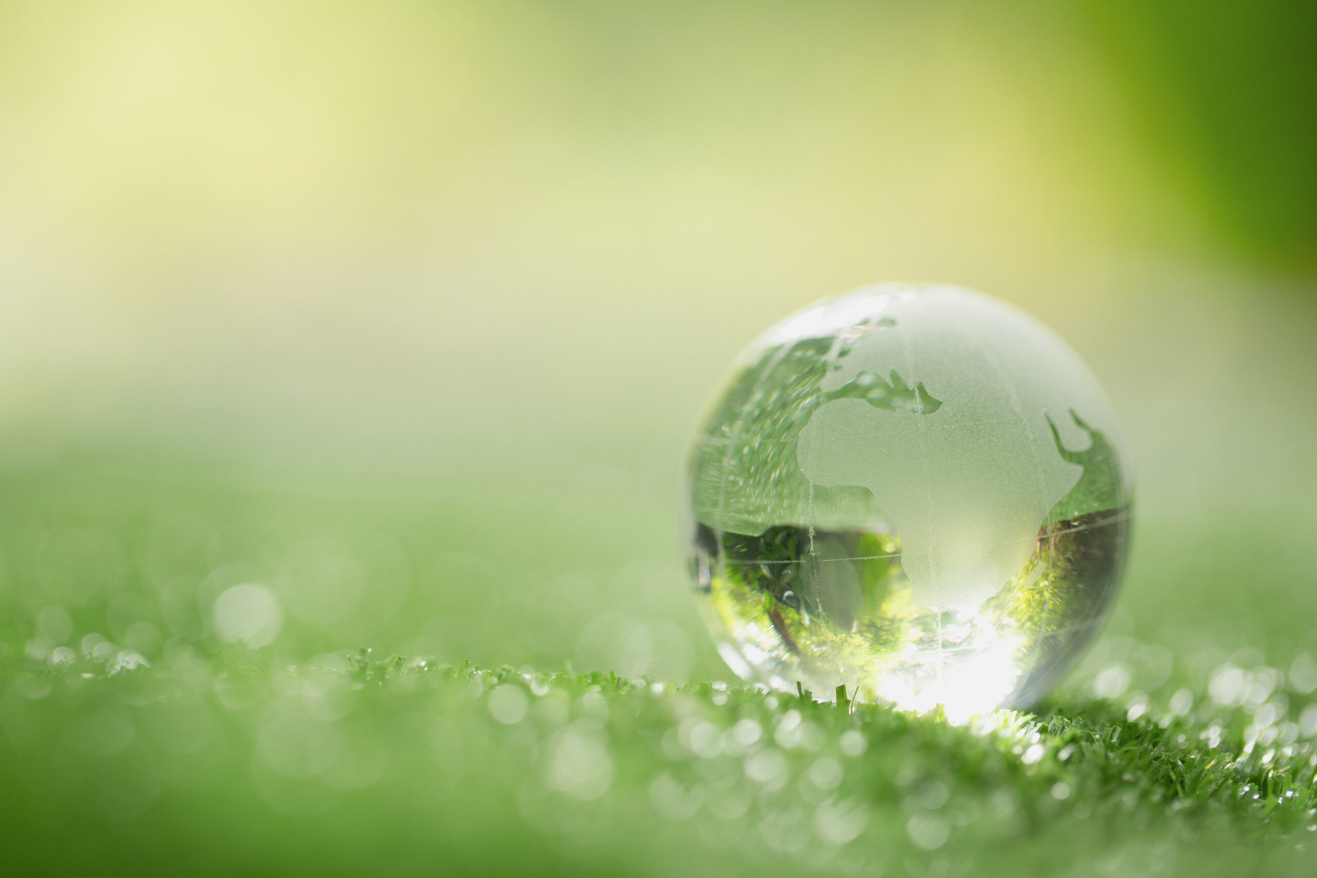 Close up of crystal globe resting on grass in a forest – environ